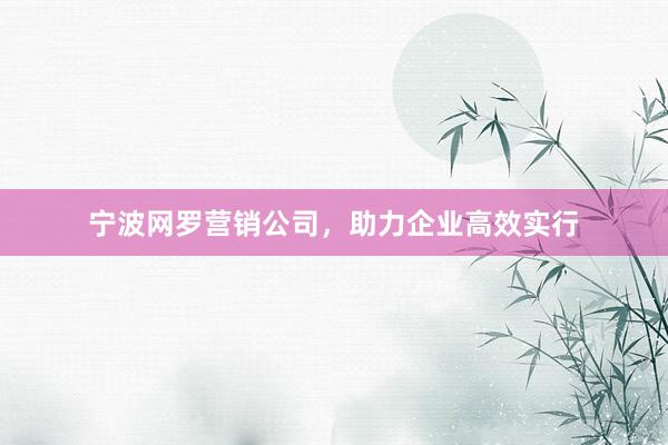宁波网罗营销公司，助力企业高效实行
