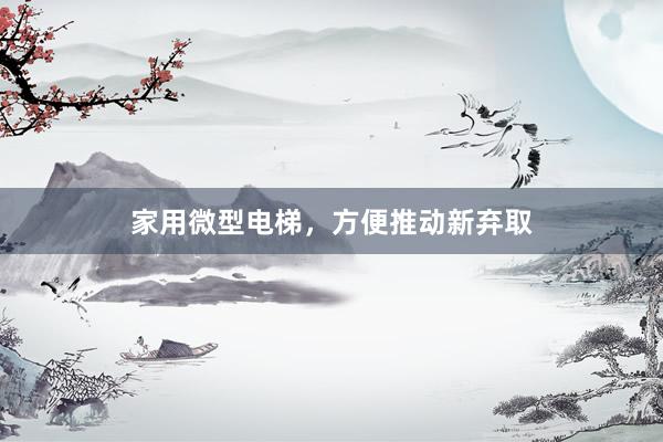 家用微型电梯，方便推动新弃取