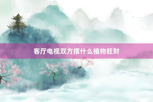客厅电视双方摆什么植物旺财