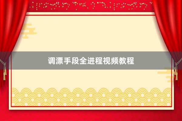 调漂手段全进程视频教程