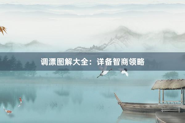 调漂图解大全：详备智商领略